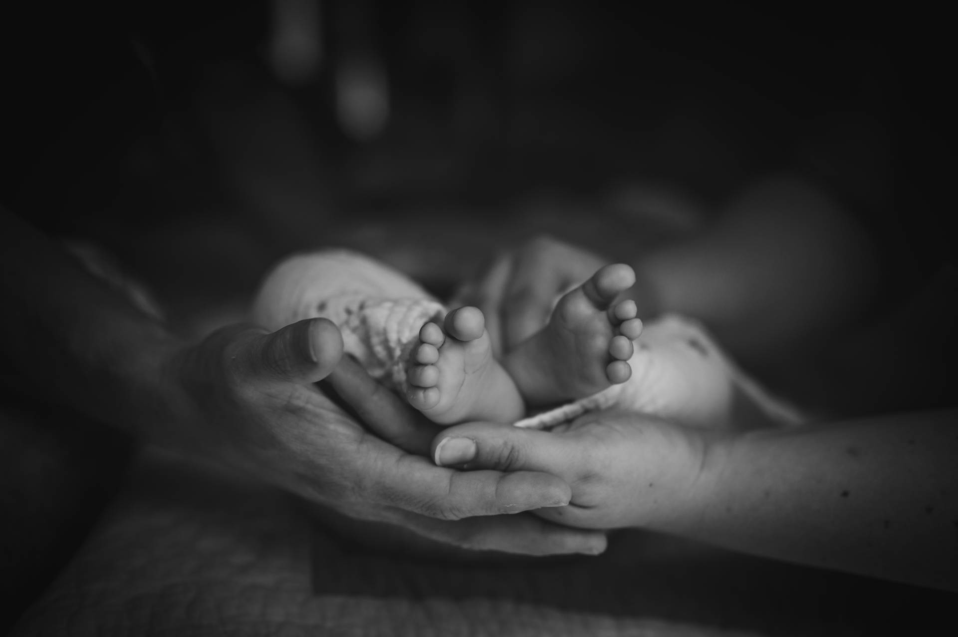 photo des pieds d'un bébé soutenu par les mains de ses parents en noir et blanc pris par photographe professionnel dans le Var